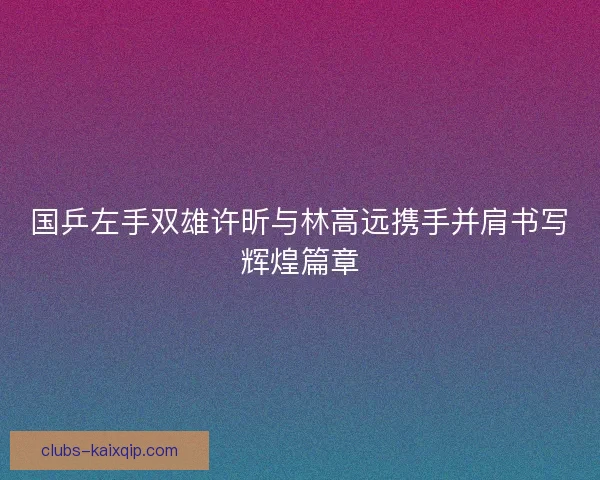 国乒左手双雄许昕与林高远携手并肩书写辉煌篇章
